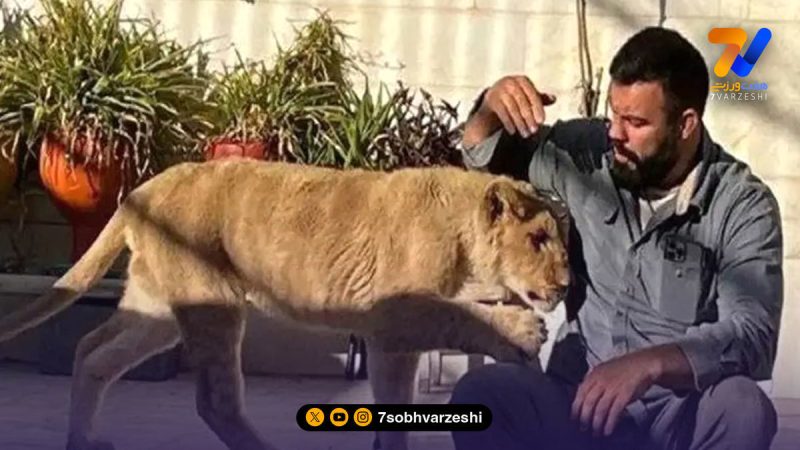 واکنش امیر علی اکبری به مرگ شیر ارم؛ تو قشنگرین خاطره من بودی