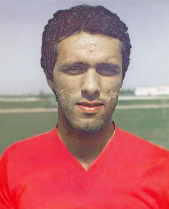 حمید علیدوستی