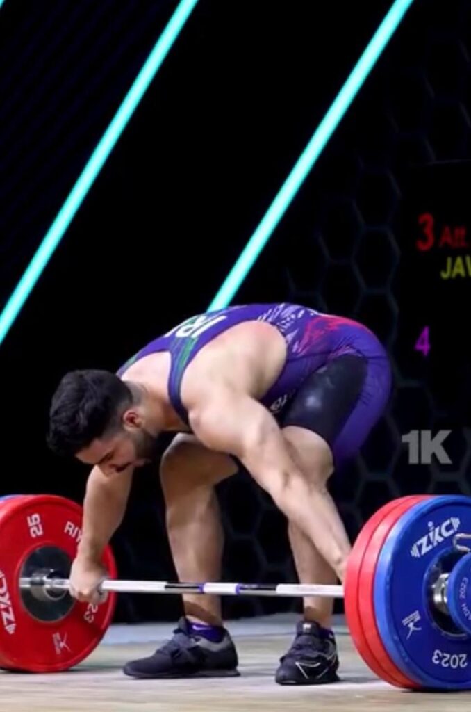 میر مصطفی جوادی