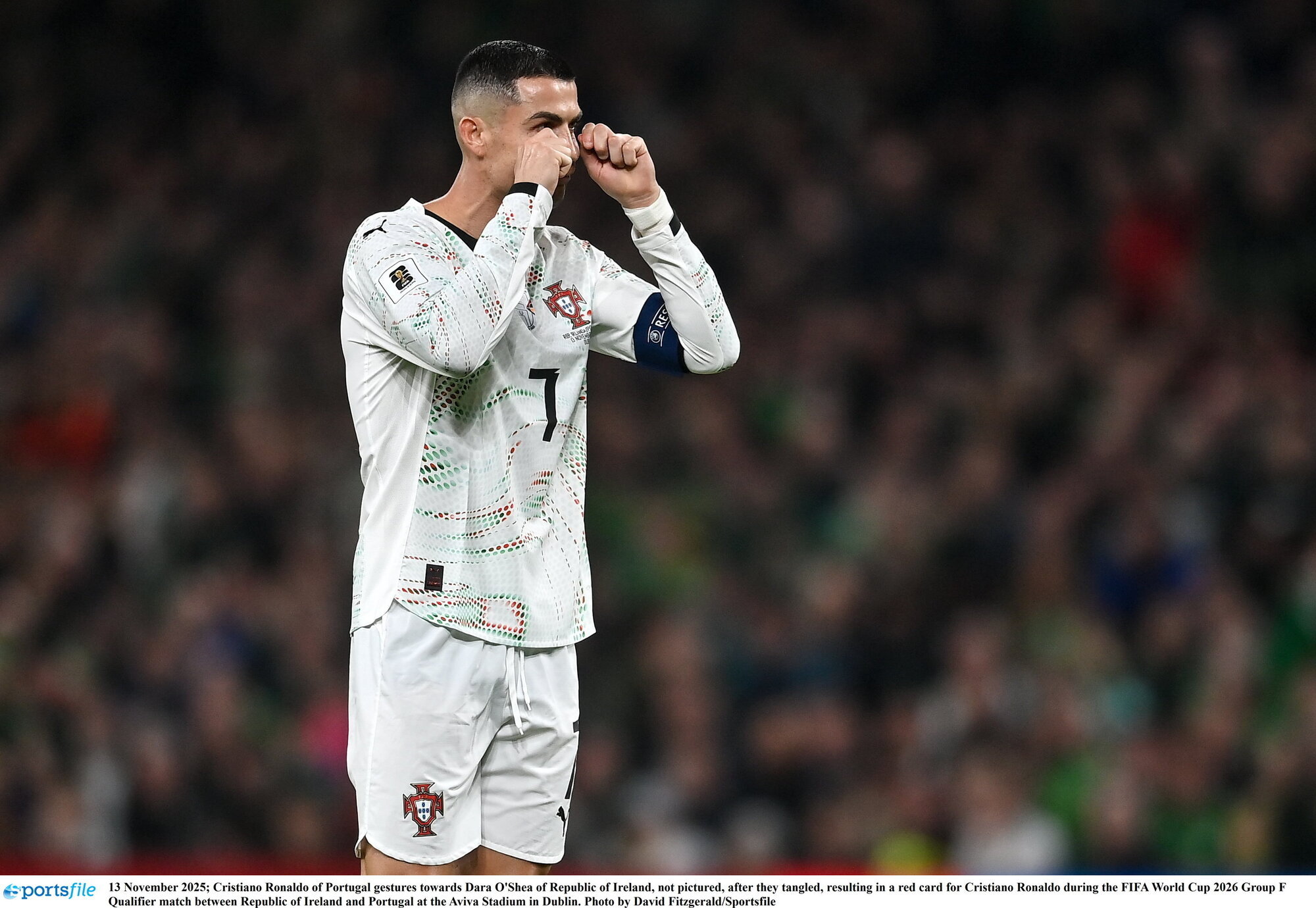 4859130_2_org_3291258