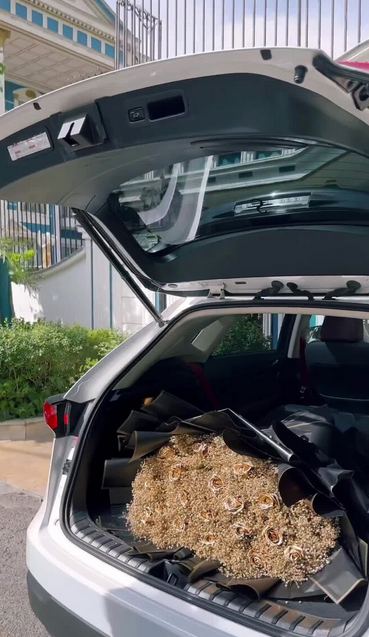 ستاره معصومی