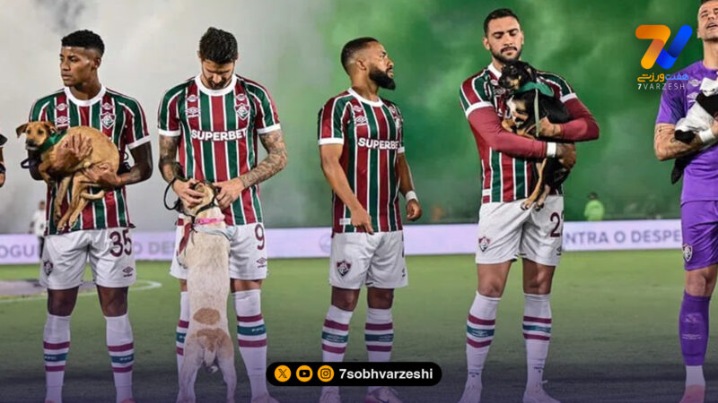 ابتکار مشترک دو باشگاه برزیلی برای حمایت از حیوانات بی‌سرپرست! +عکس