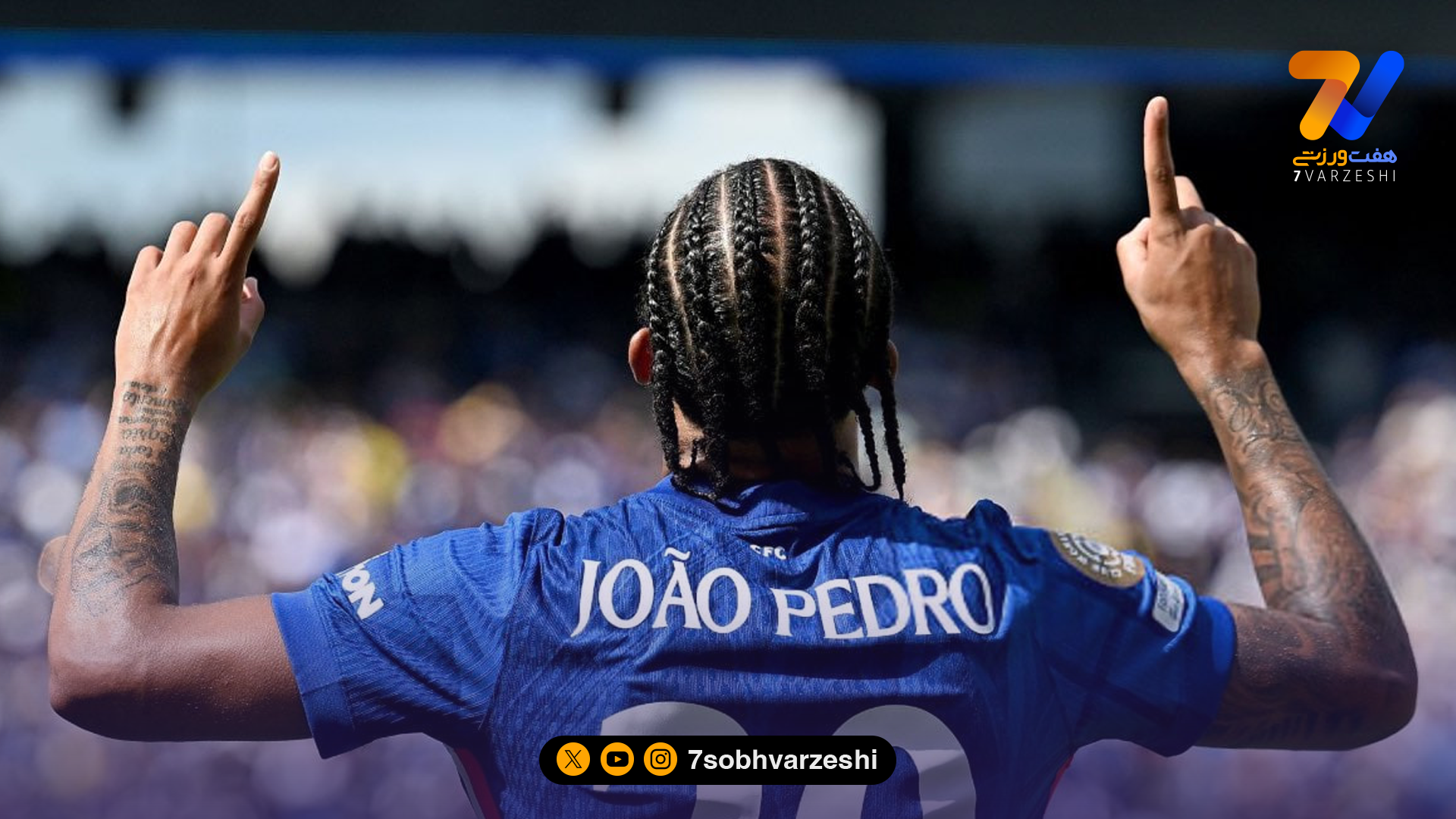 قول پدرو به کایسدو: باید تو را به شام دعوت کنم!