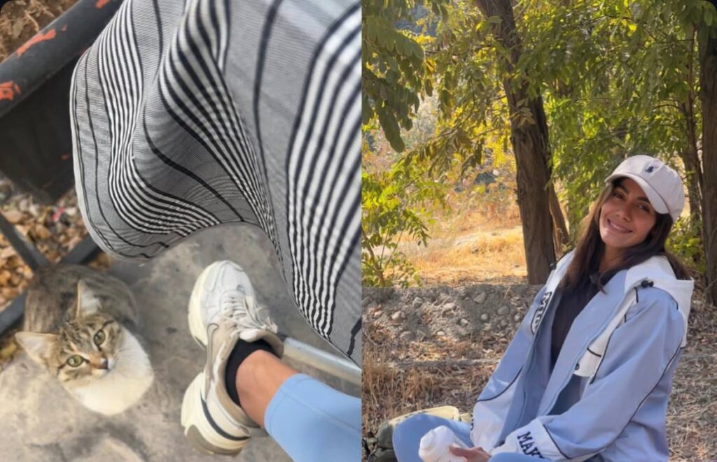 پر‌دیس عبدالمحمدی