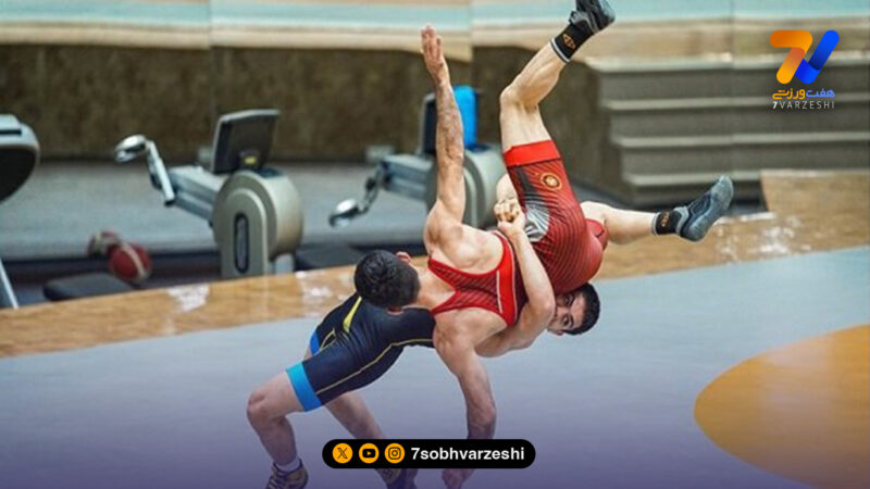 دعوت 11 فرنگی کار به اردوی تیم ملی