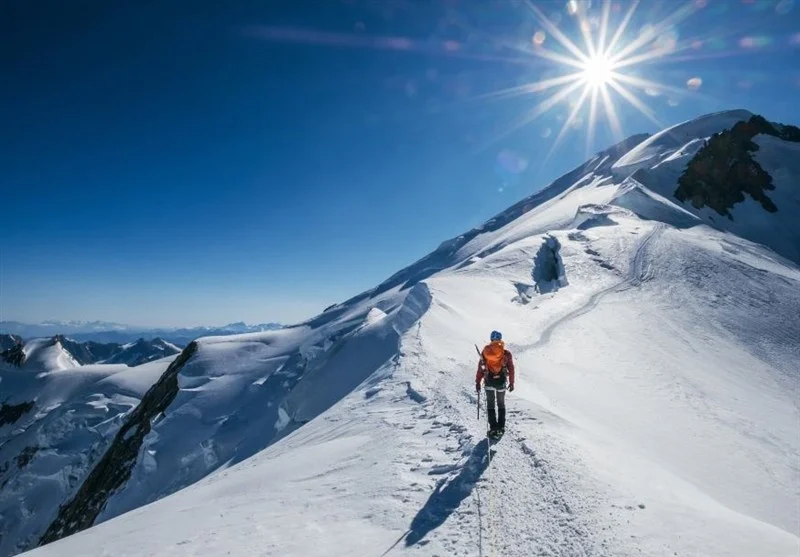 حمله رییس فدراسیون به سینه چاکان محیط زیست - سایر ورزش‌ها