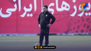امیر قلعه نویی